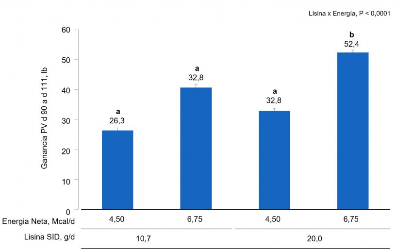 Figura 1A. Efectos de la alimentaci&oacute;n con diferentes niveles de lisina y energ&iacute;a del d&iacute;a 90 al d&iacute;a 111 de gestaci&oacute;n en la ganancia de PV&nbsp;de primerizas&nbsp;y cerdas. Las medias con un super&iacute;ndice diferente dentro del nivel de Lis SID son diferentes&nbsp;(P &lt;0,05).
